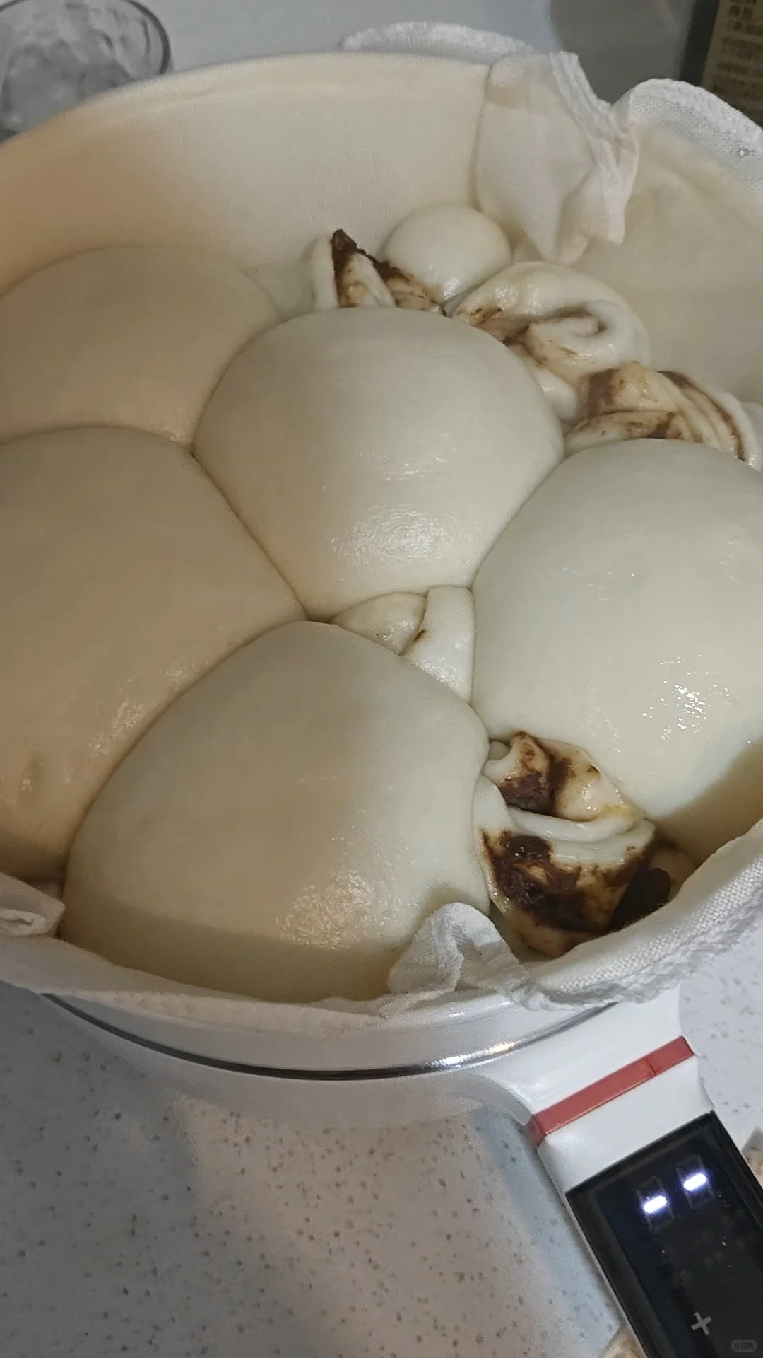 什么？！你怎么知道这是我第一次做馒头