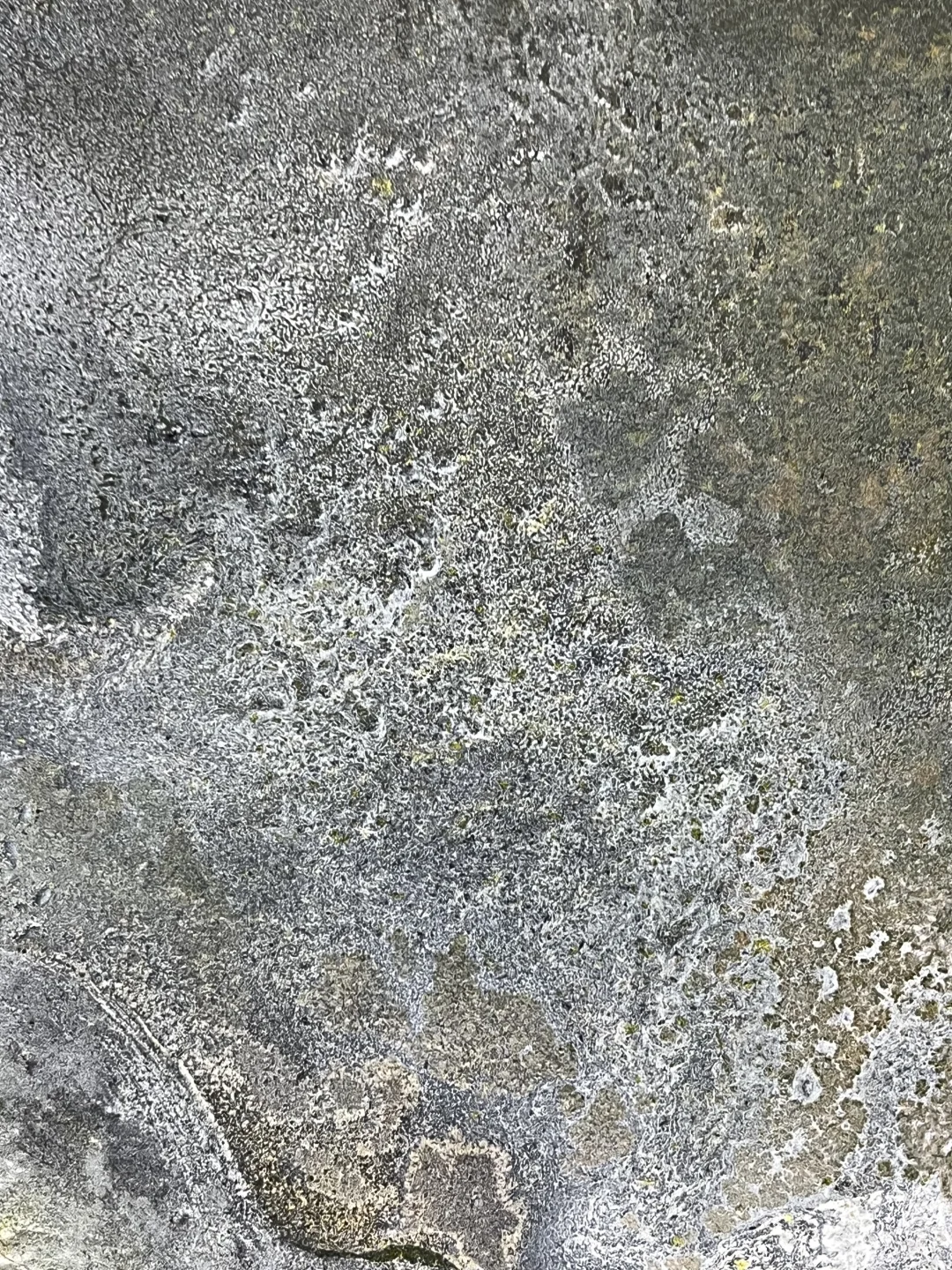 露珠与闪电：郑忠《文脉之光》的刹那澄明