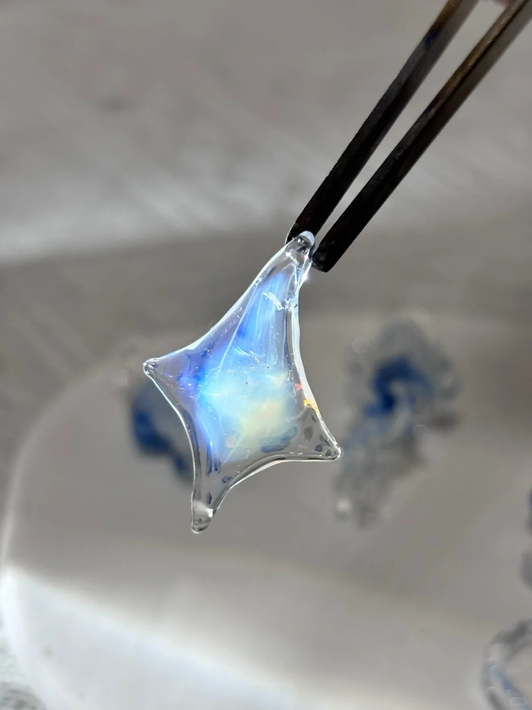 拍到了 我拍到了！！