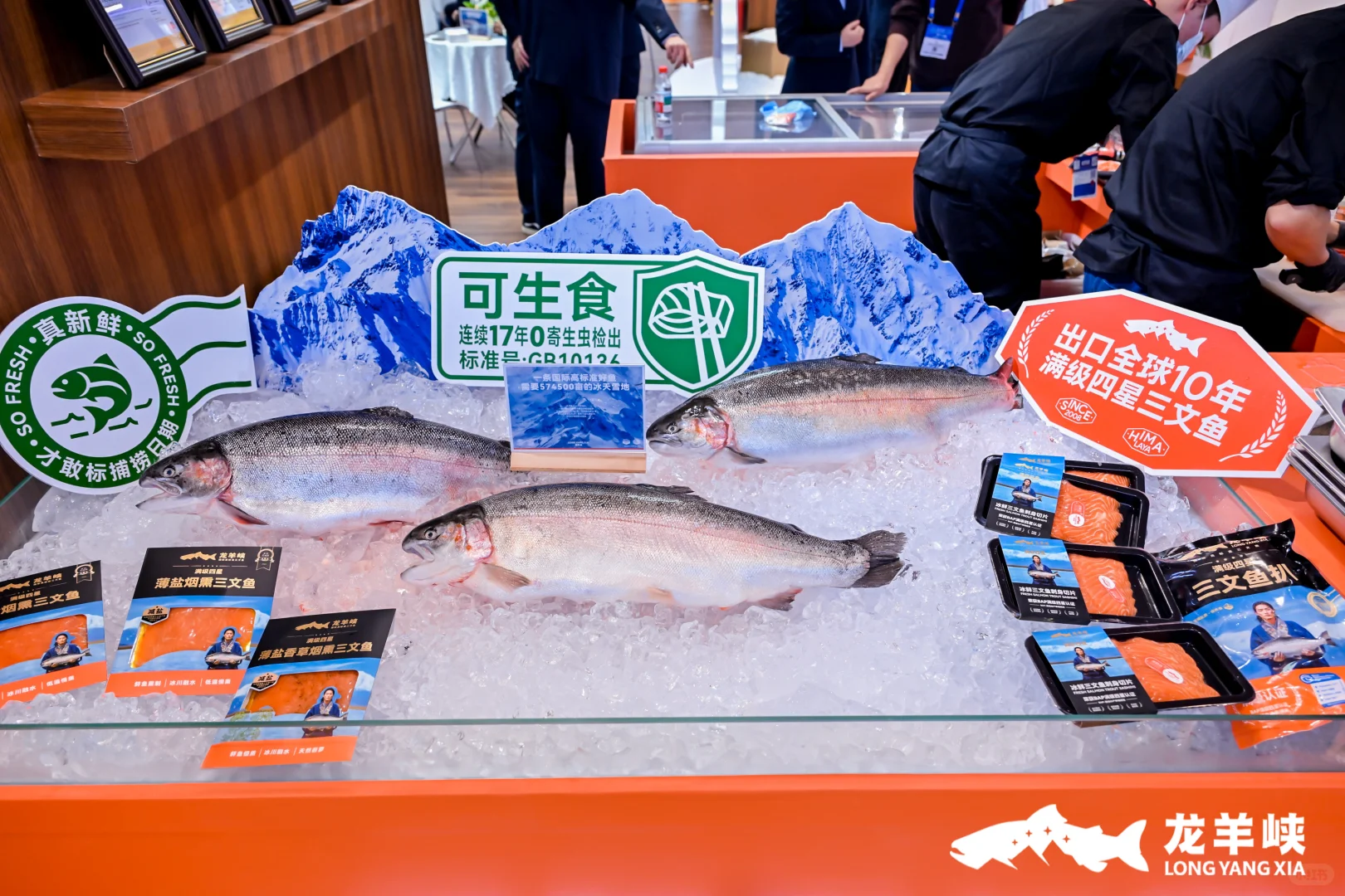 ?青岛渔博会开幕啦！快来找鱼鱼玩！