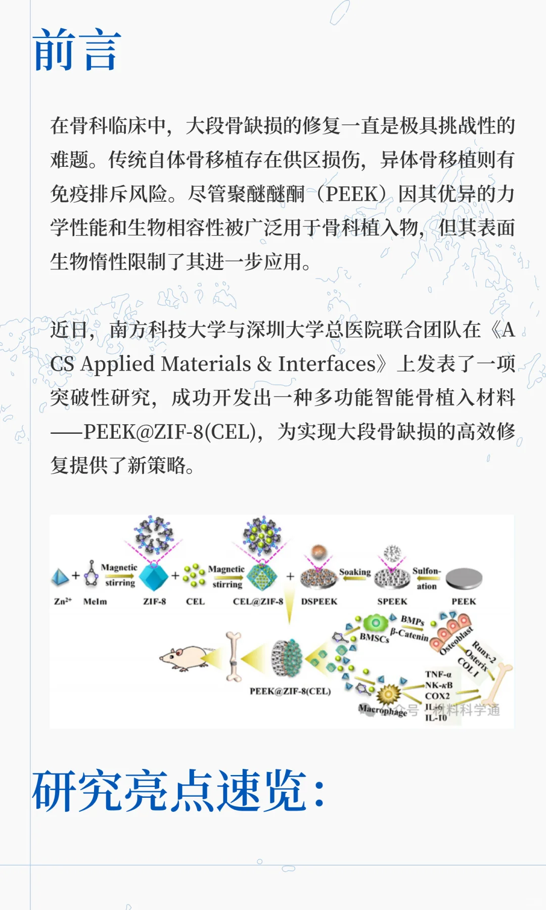 MOF改性PEEK骨植入材料！修复大段骨缺损同