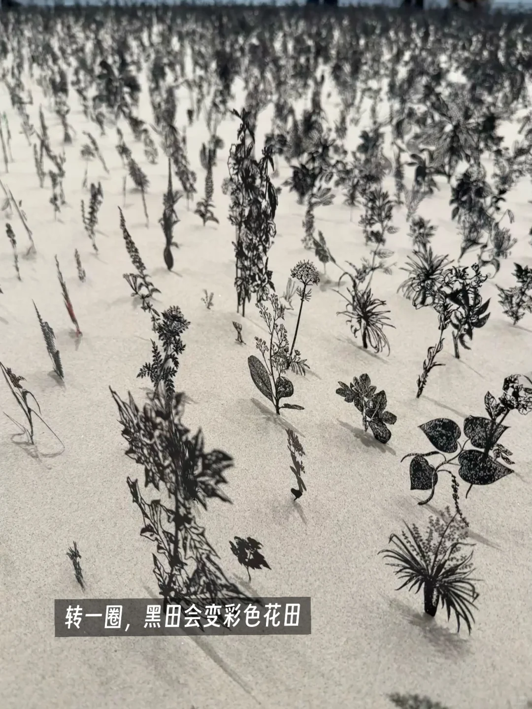 杭州必看展 ! 后印刷：5件直击心灵的作品