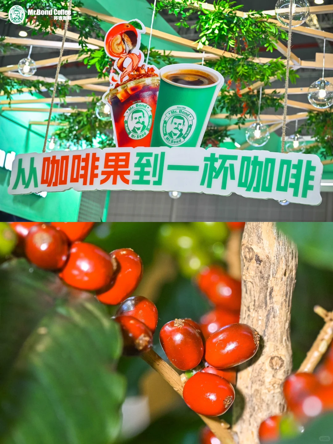 Foodaily创博会｜谁家的展位人气这么旺呀！