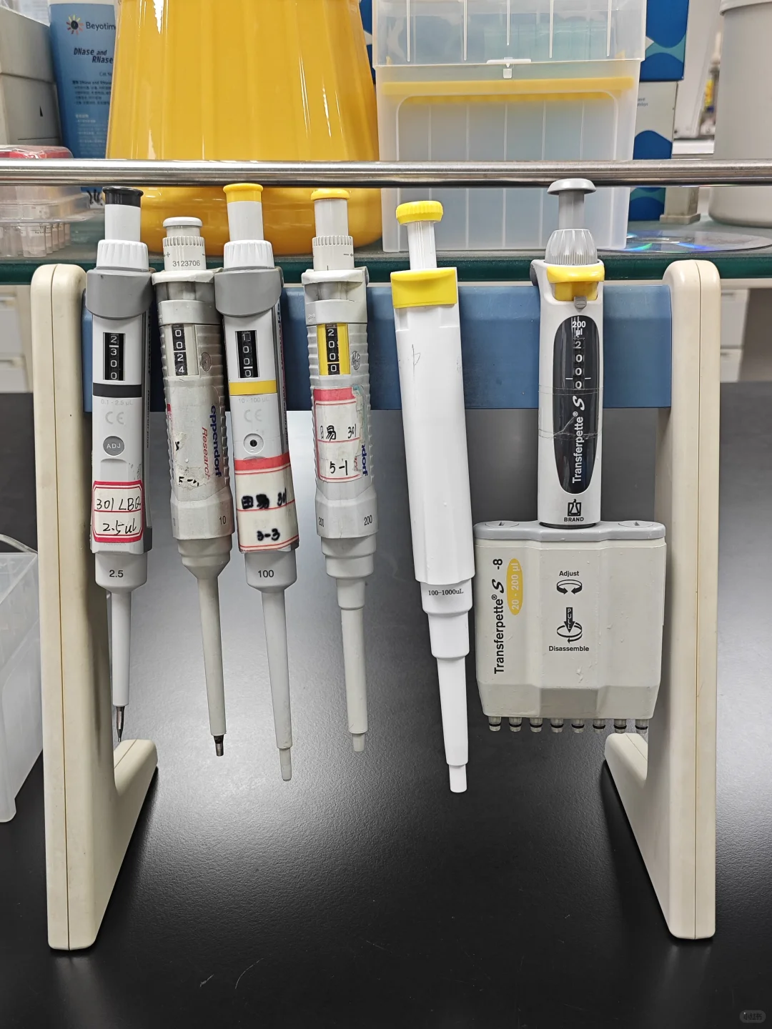 拥有一排移液枪，人生拥有无限可能