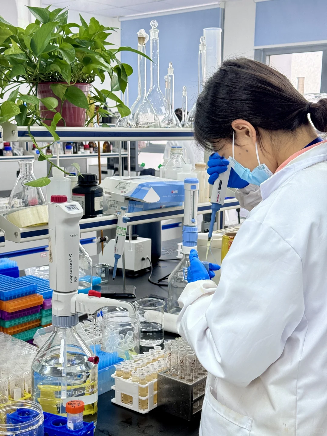 重生之我在实验室当女工