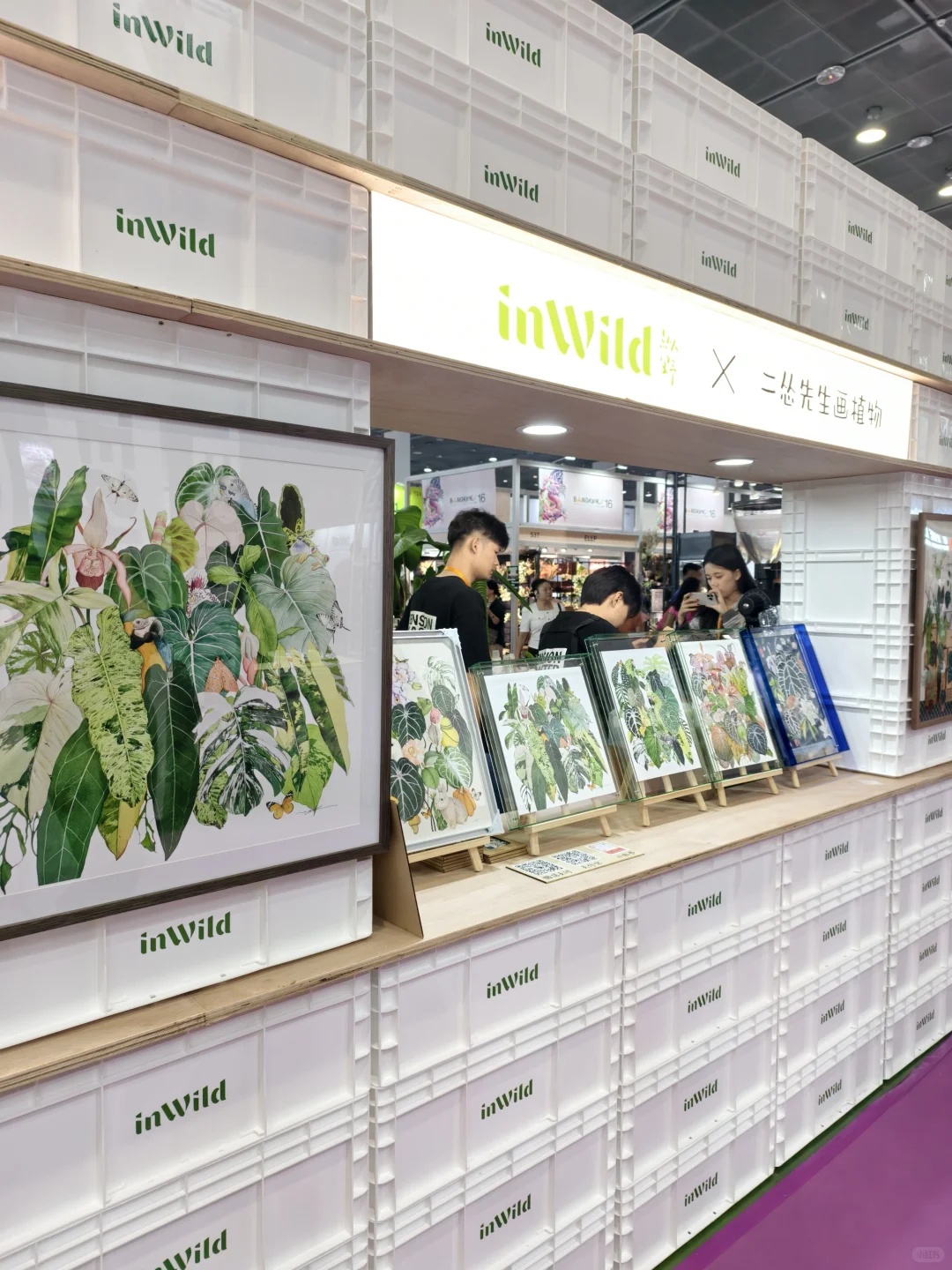 10.17live无锡热植展火热开展?中花大会