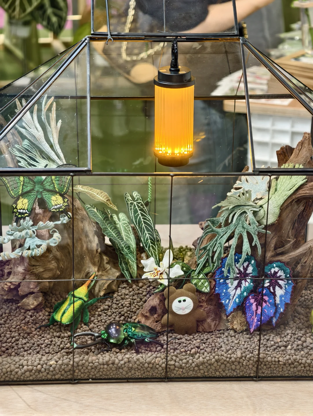 10.17live无锡热植展火热开展?中花大会