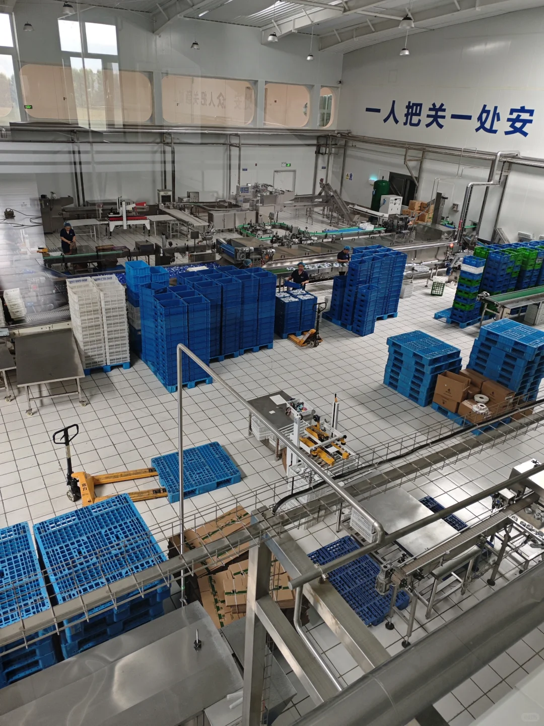 这就是内蒙古酸奶的制作环境？！！