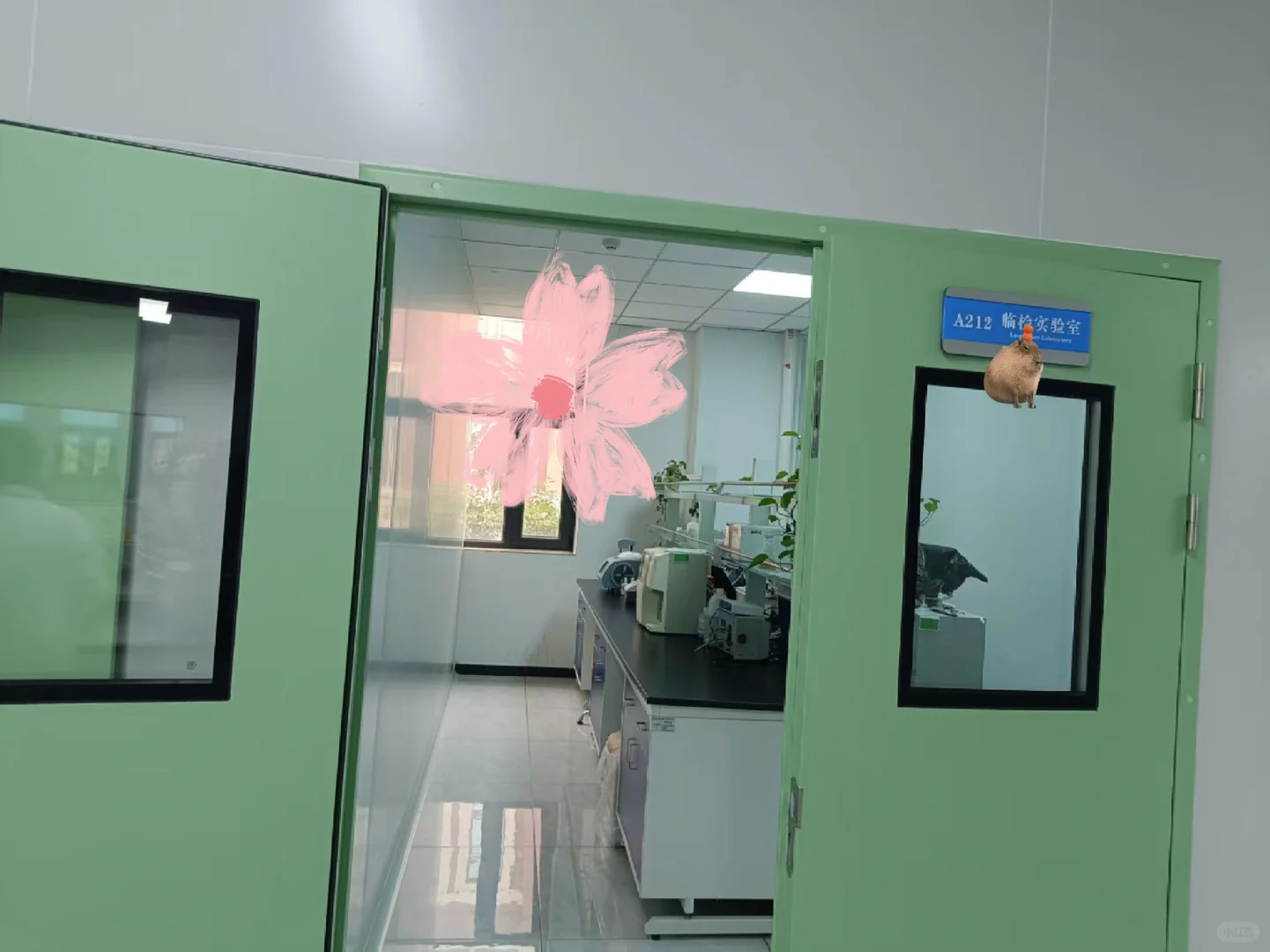 救命～实验外包真救命!