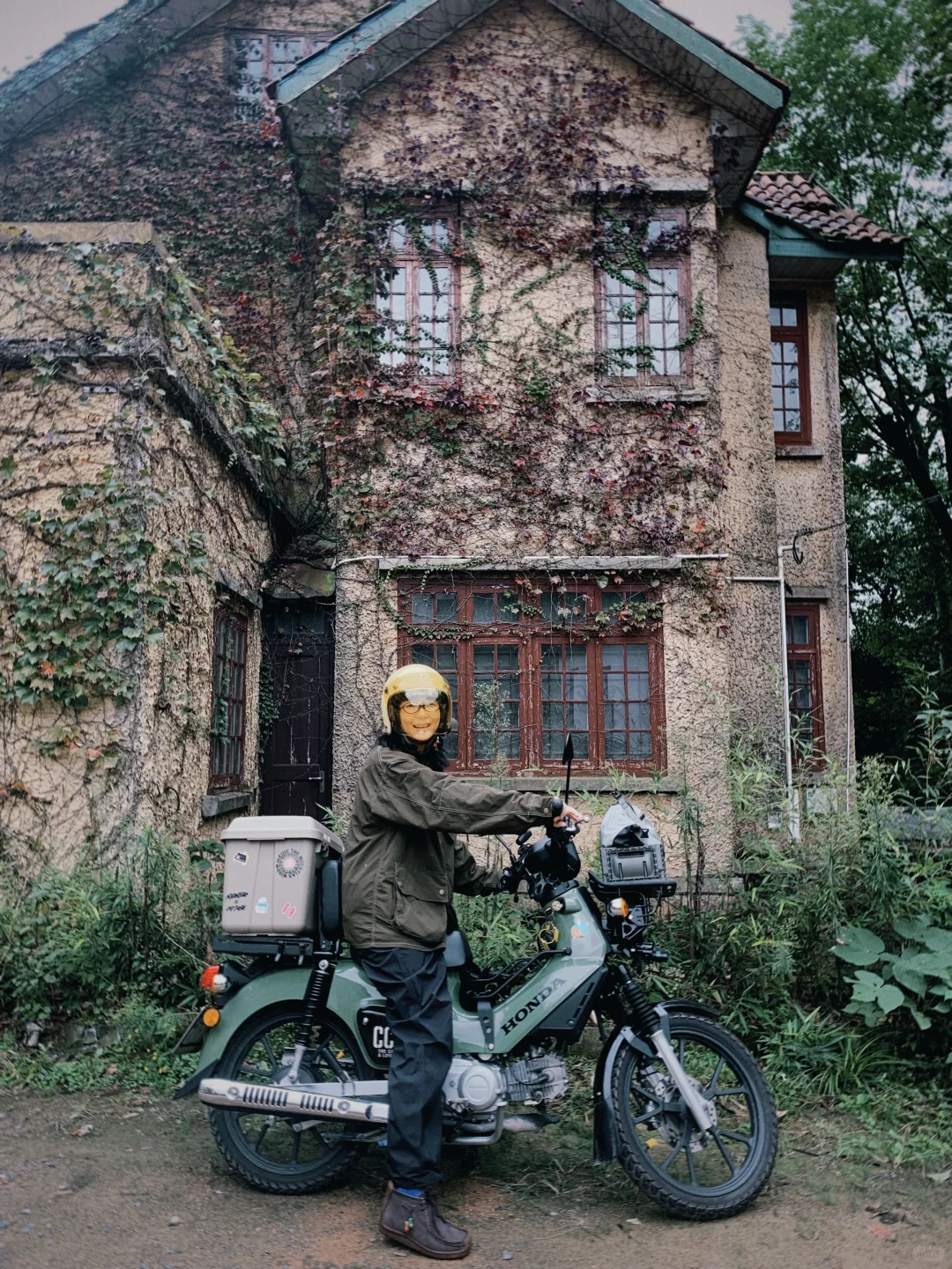 让我看看你们幼兽都改装了啥