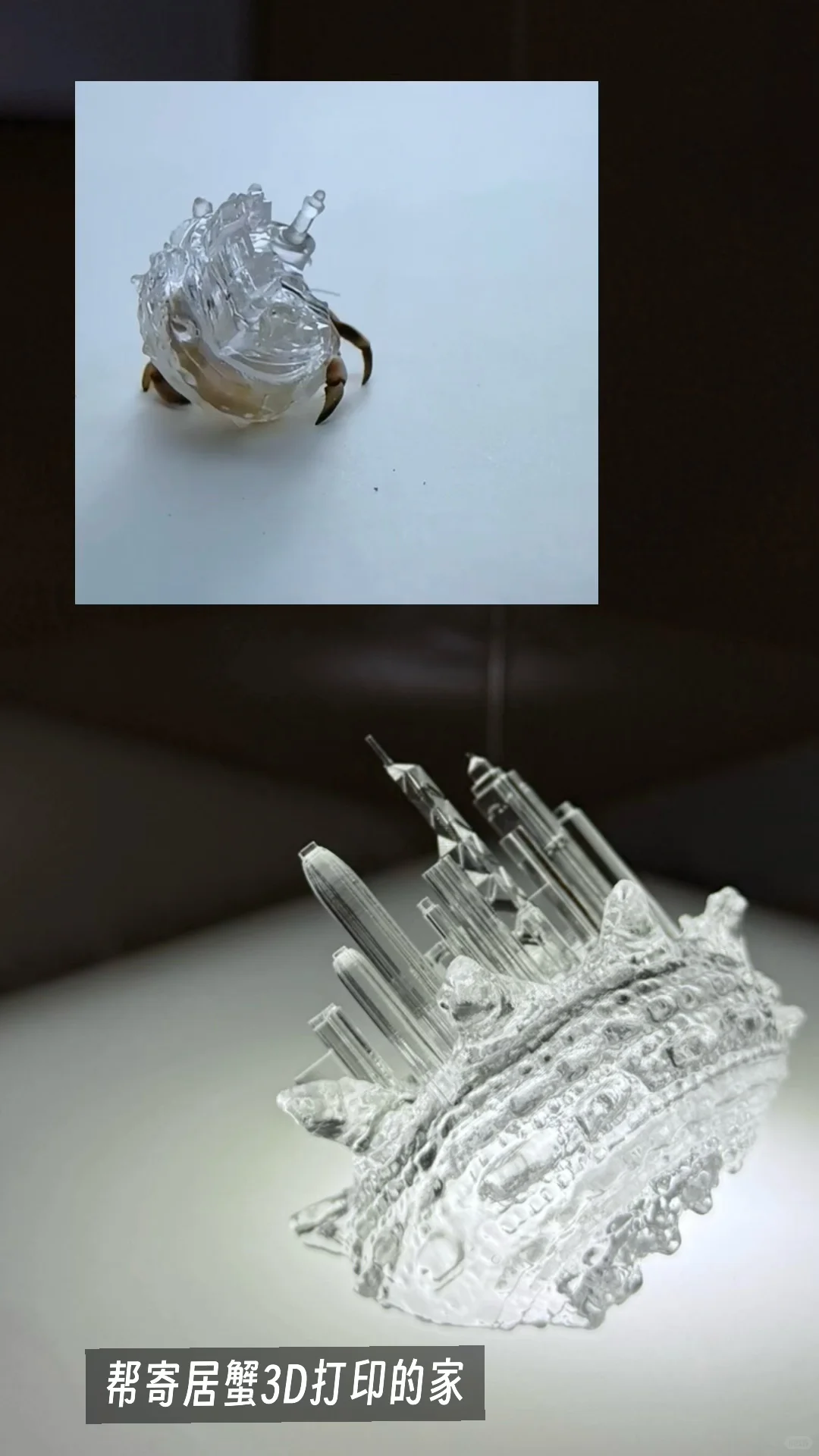 杭州必看展 ! 后印刷：5件直击心灵的作品