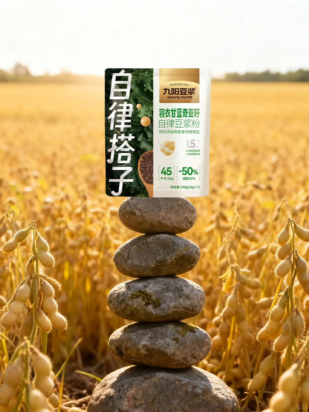 村里刚通网，小九现在垒石头还来得及吗？