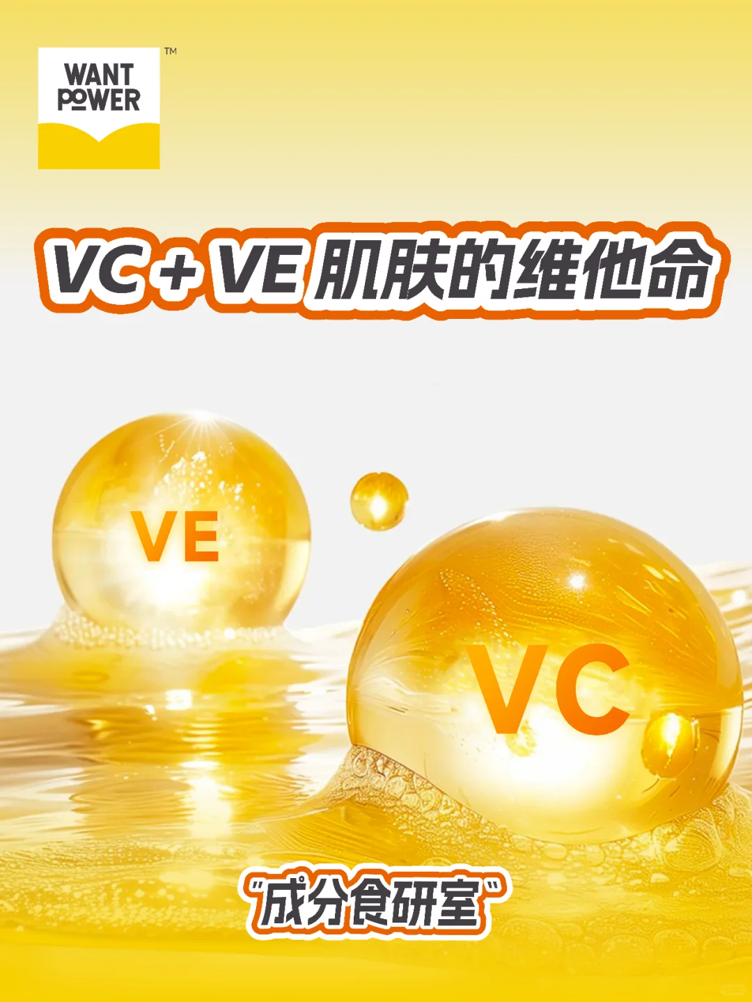 成分食研室｜VC和VE内服的协调作用