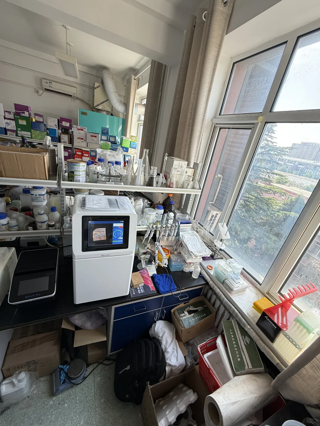 WB化学发光成像仪