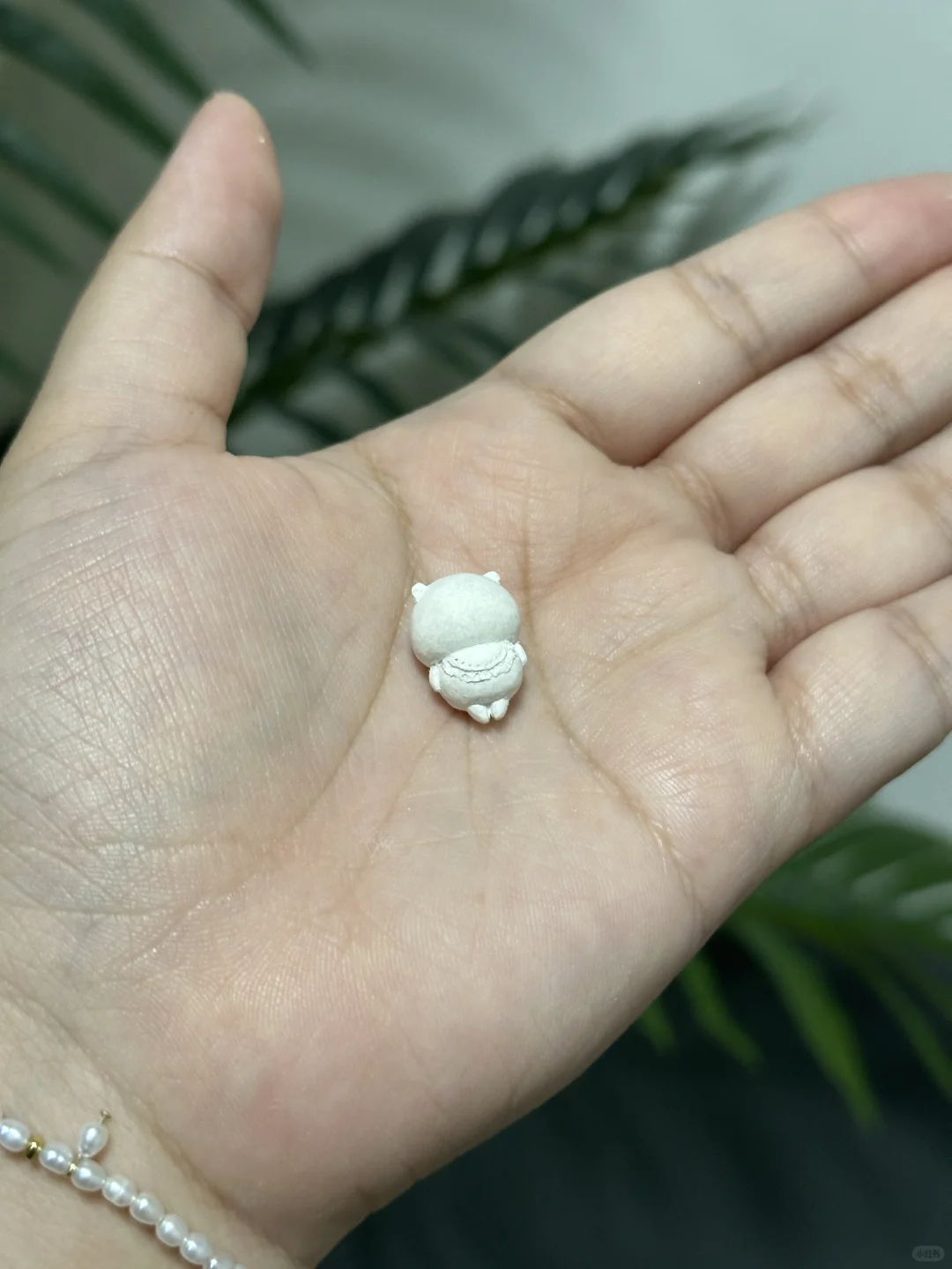 熊很贵吗为什么只做这么一点点