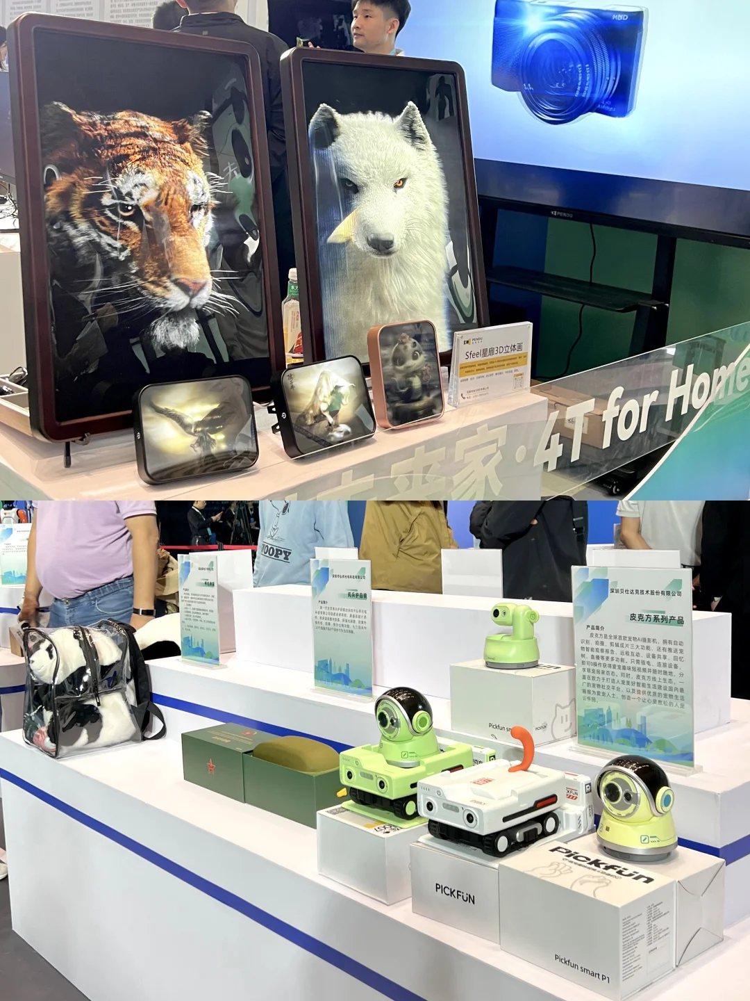 AI+绿色CP?湾区“低碳T台”真秀到我心里了!