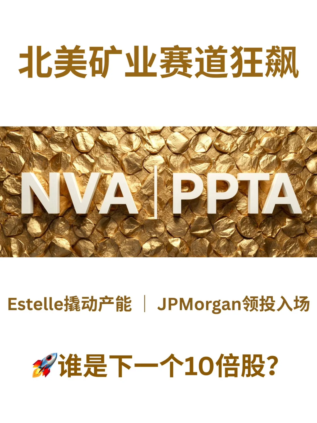 NVA和PPTA谁是下一个10倍股？