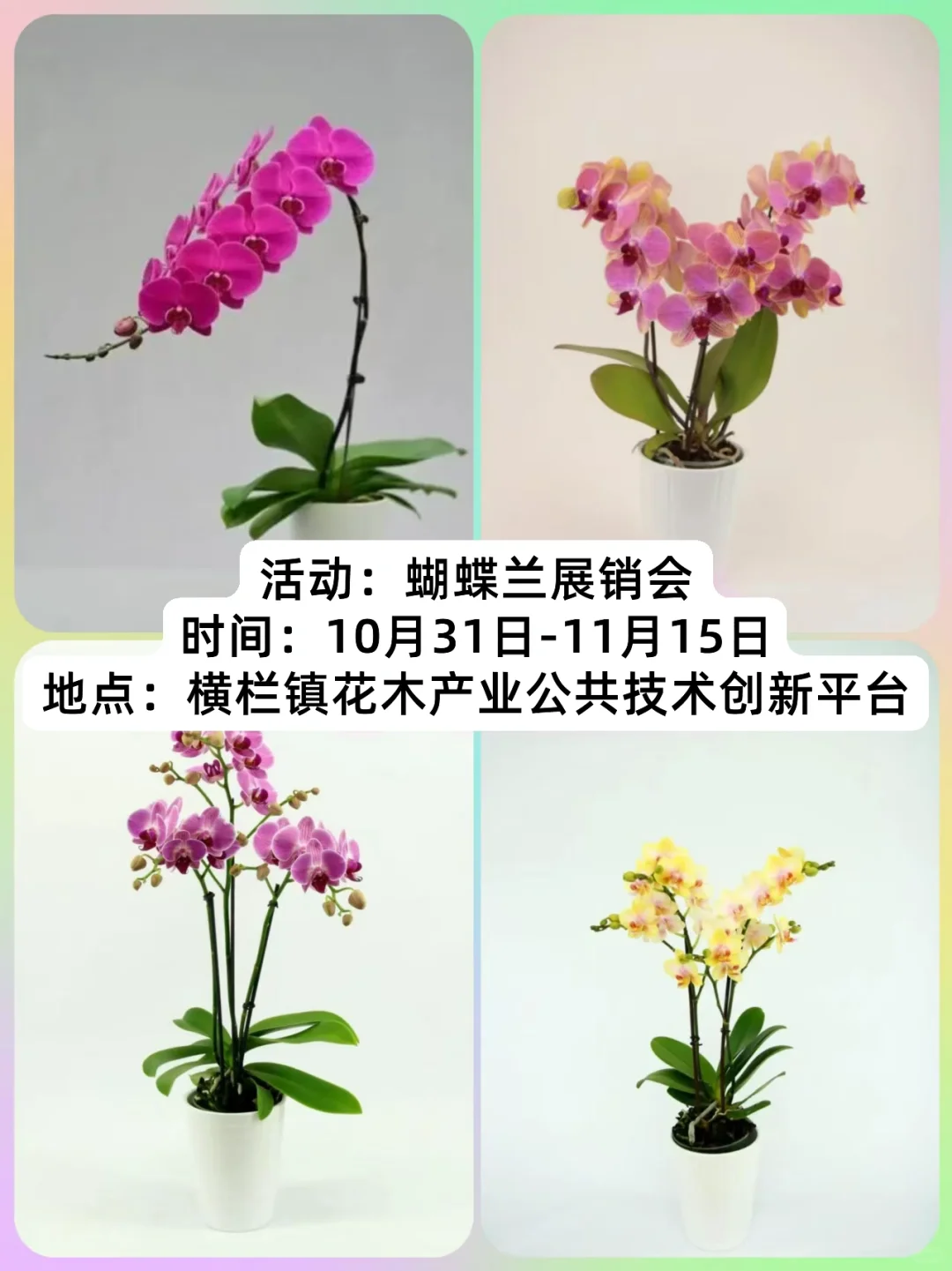 2025年中山花木产业大会即将开幕~