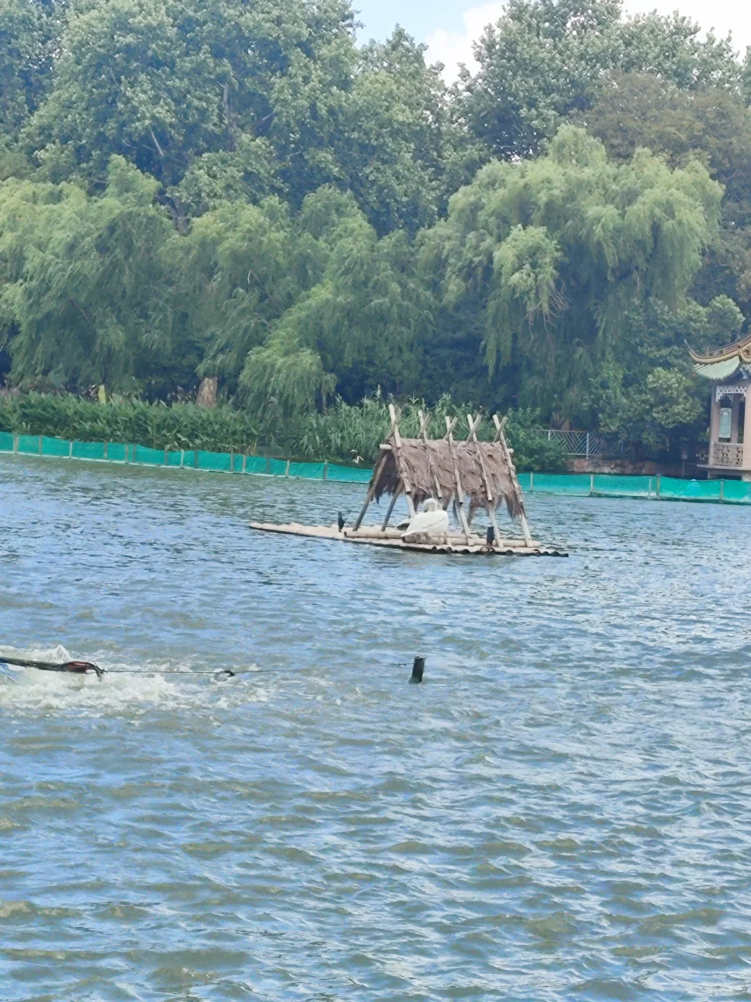 北核，2篇园林，景观！不限单位！