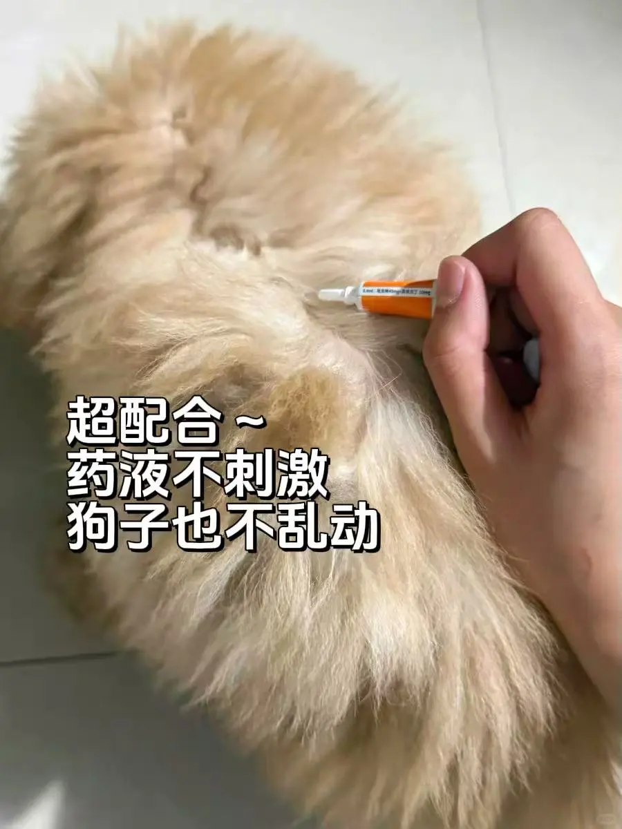 更权威的驱虫圈子，我来了！！！