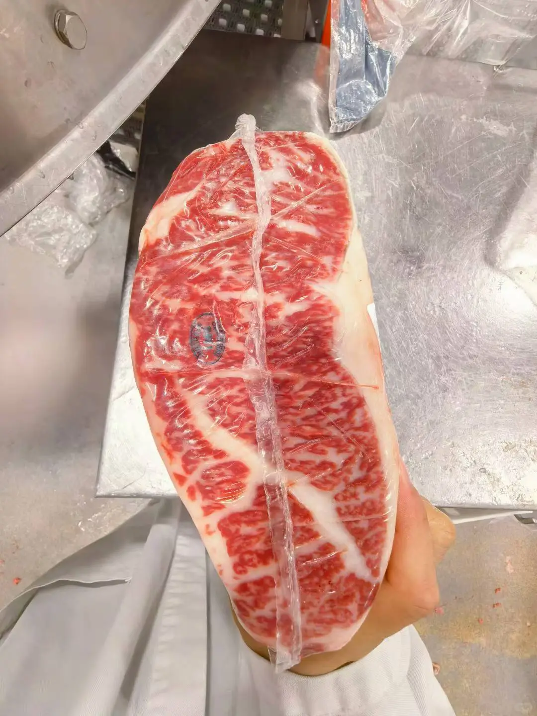 公司深入观看了1265石斧纯血和牛生产线