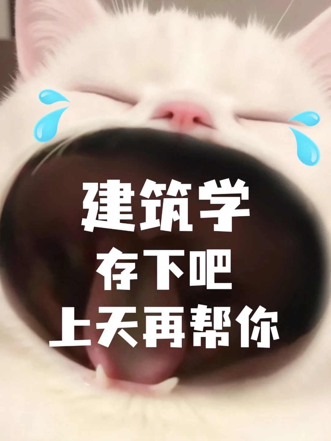 建筑学存下吧，几乎不退稿期刊！