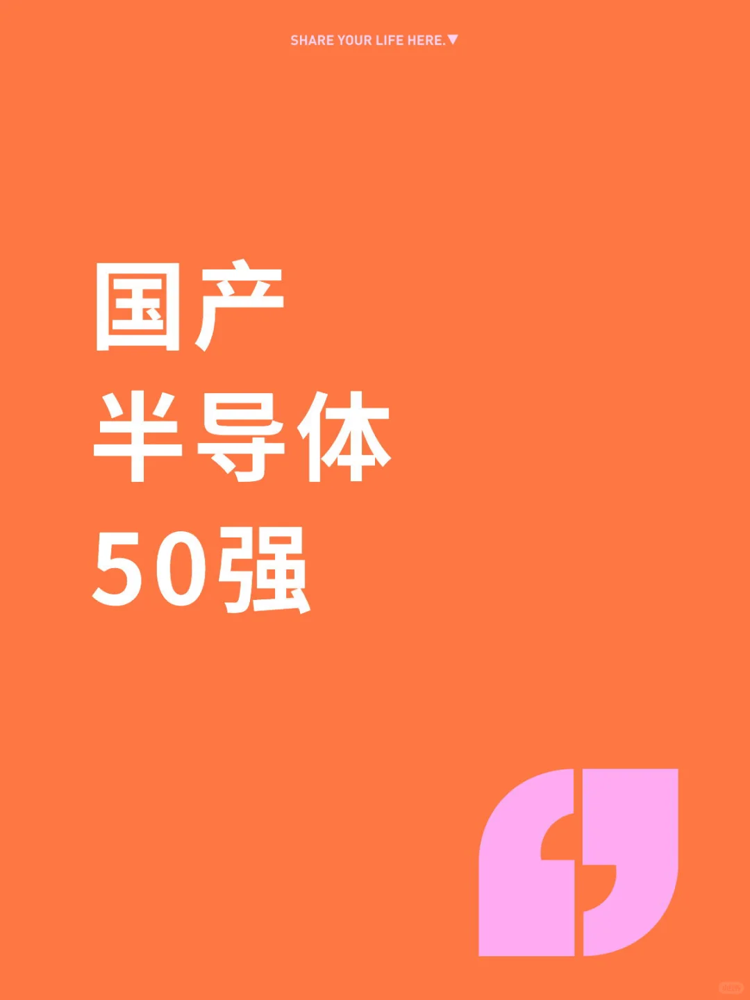 国产链高光时刻，各细分领域龙头全览