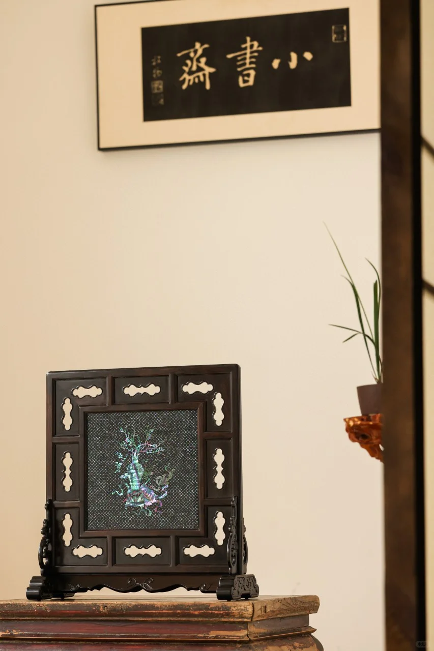 入坑螺钿?会变色的「小星光」