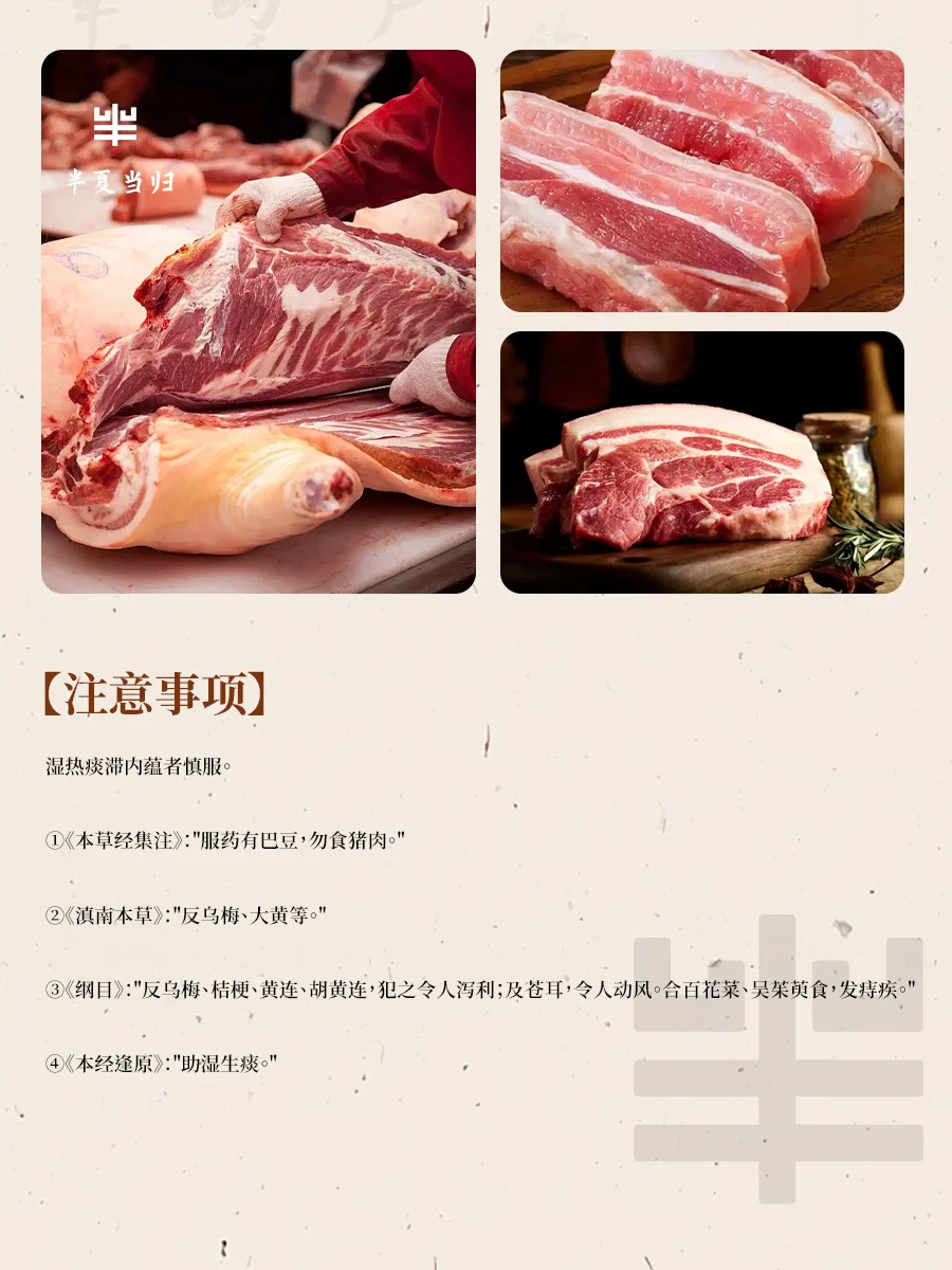 ?寻找厨房里的中药--猪肉