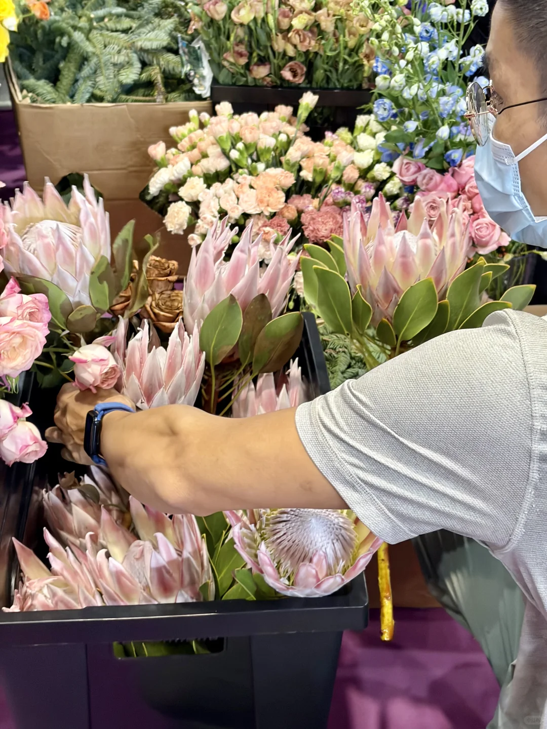 没有人能空手离开无锡热植展?