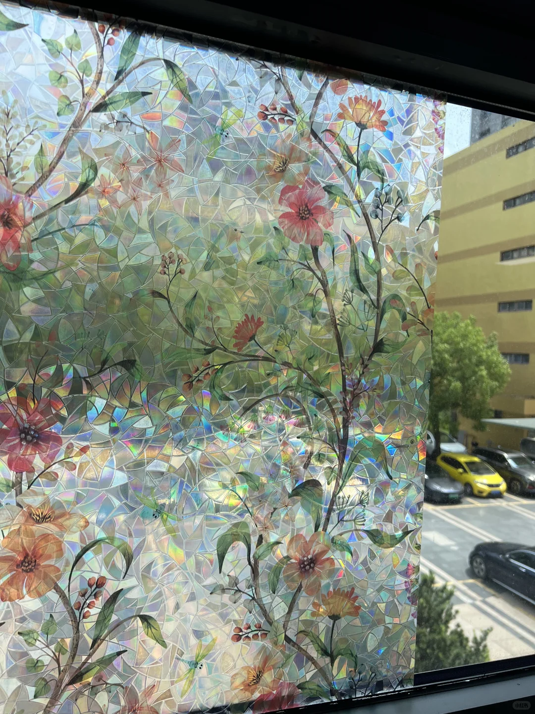 【上新】绝美光影魔法。这款膜让窗户变身艺术