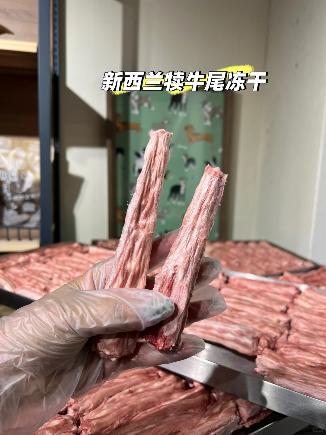 新西兰犊牛尾比国产的好太多了