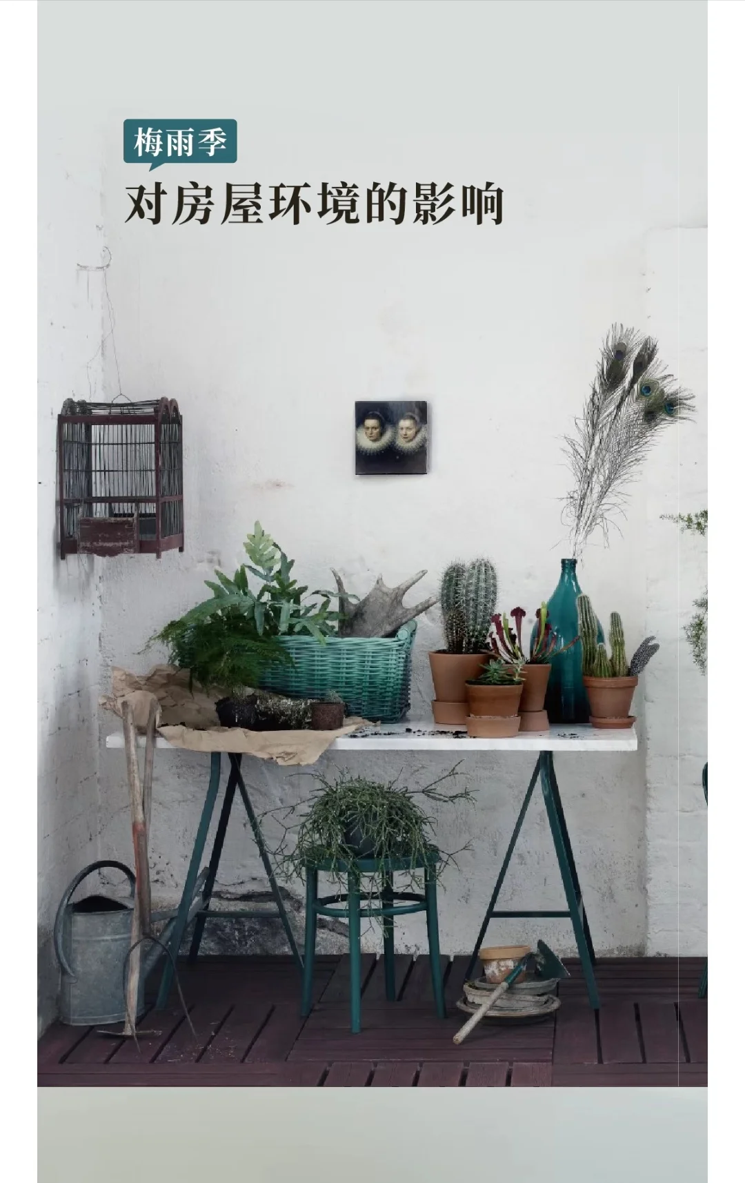 芬琳漆梅雨季精选产品