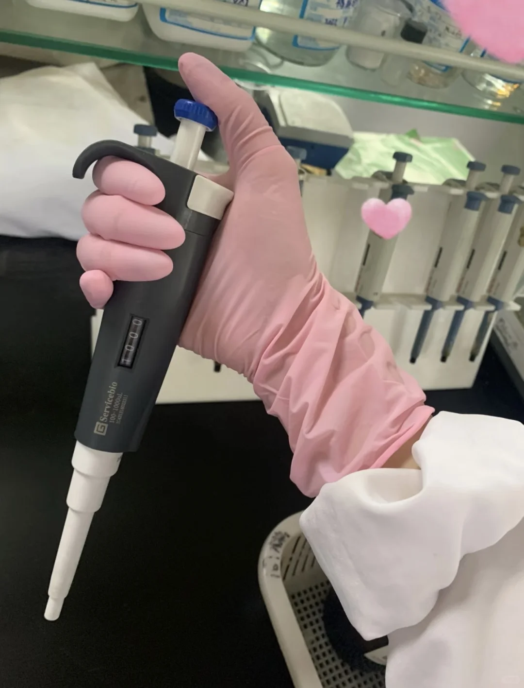 实验室的粉色，太治愈了～
