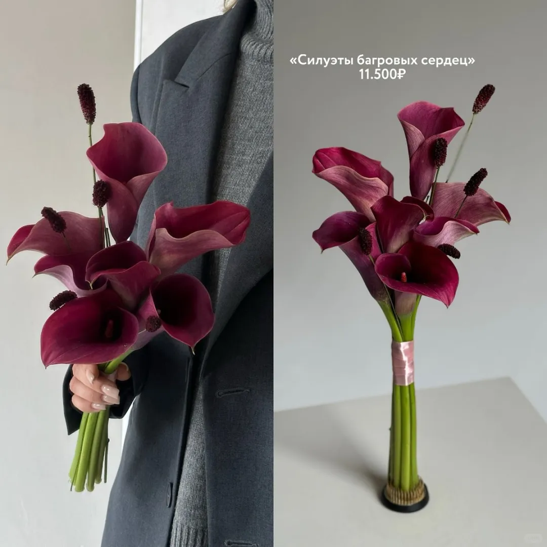 一花一养|马蹄莲