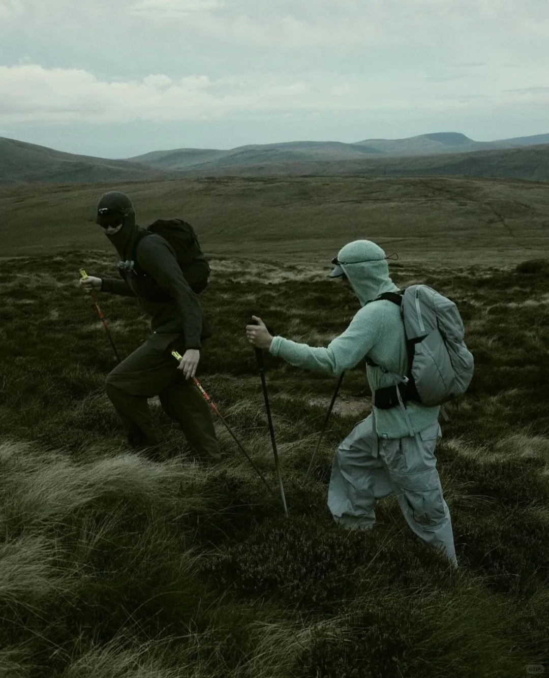 来自 Senchi Designs 的自然见解?