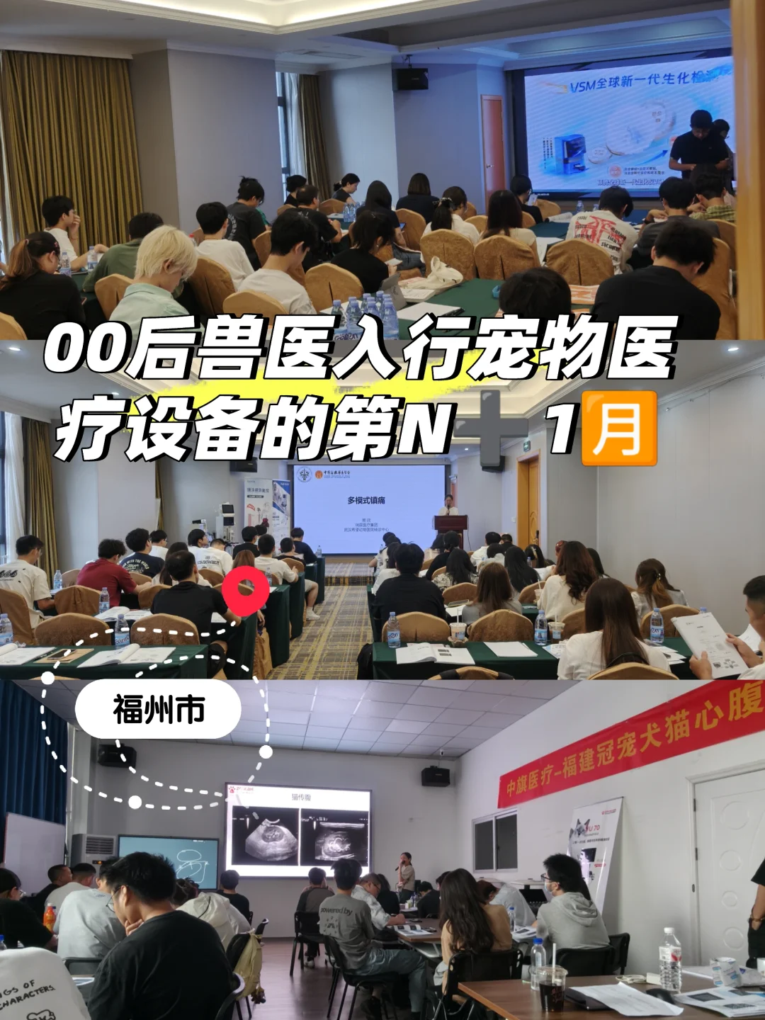 00后入职宠物医疗设备的第2个月