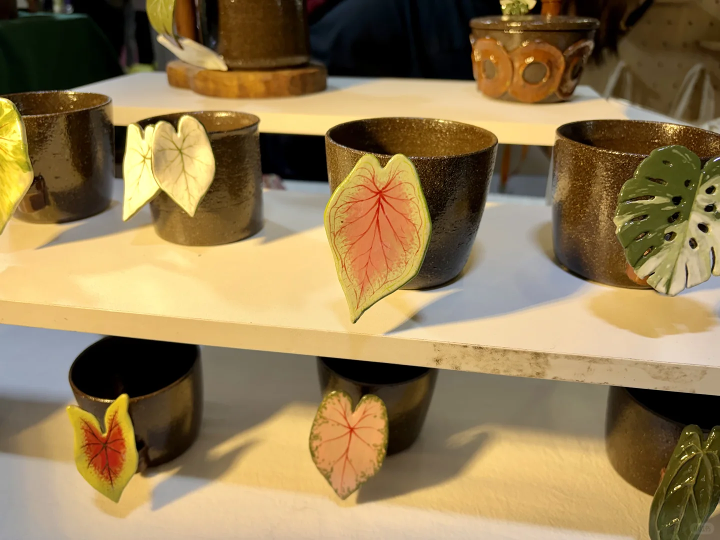 没有人能空手离开无锡热植展?