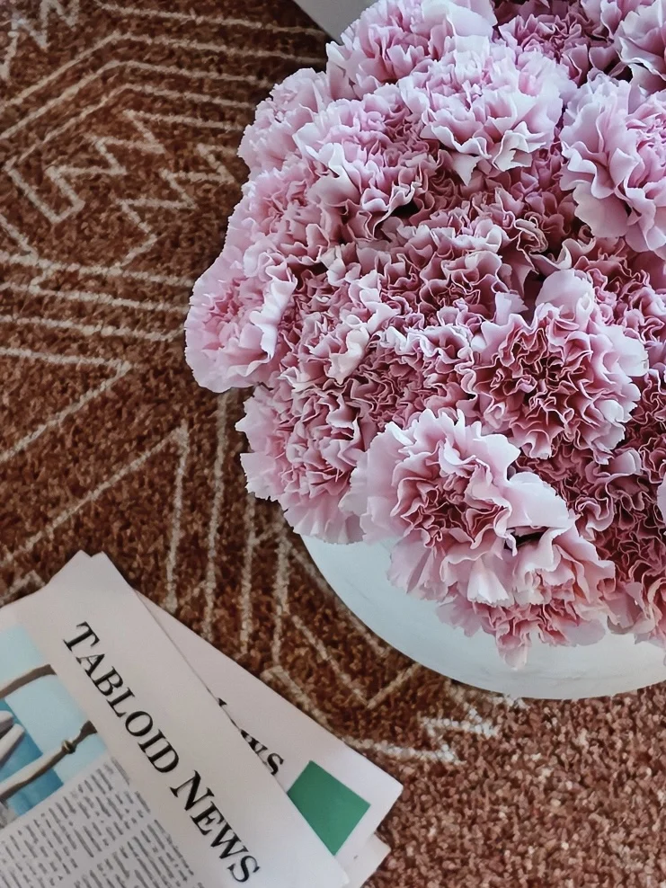 一个人住?｜我和春天的粉色约会??