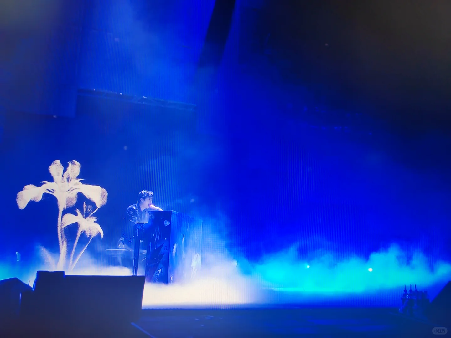 幸福是你透过摄像机望向我的眼睛