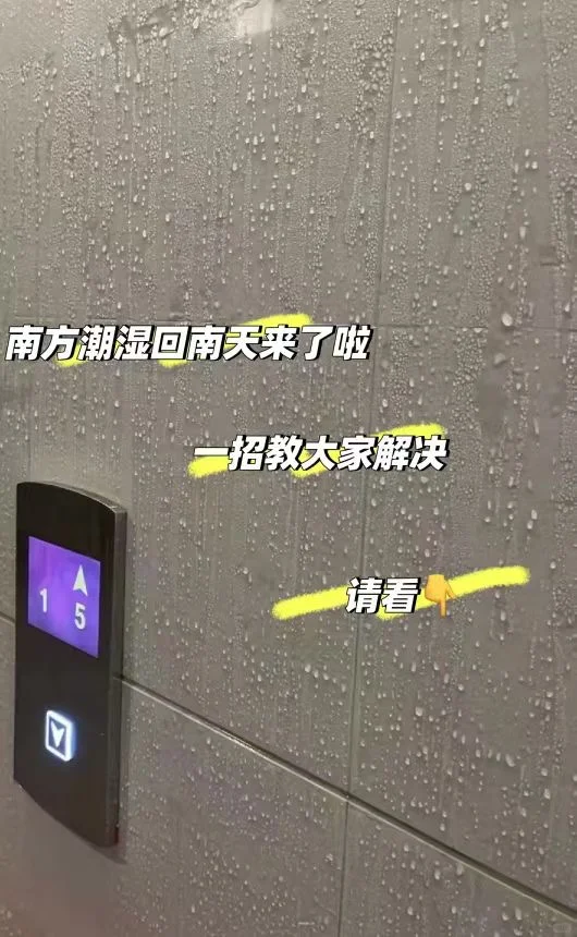 艺术漆✨回南天的救星