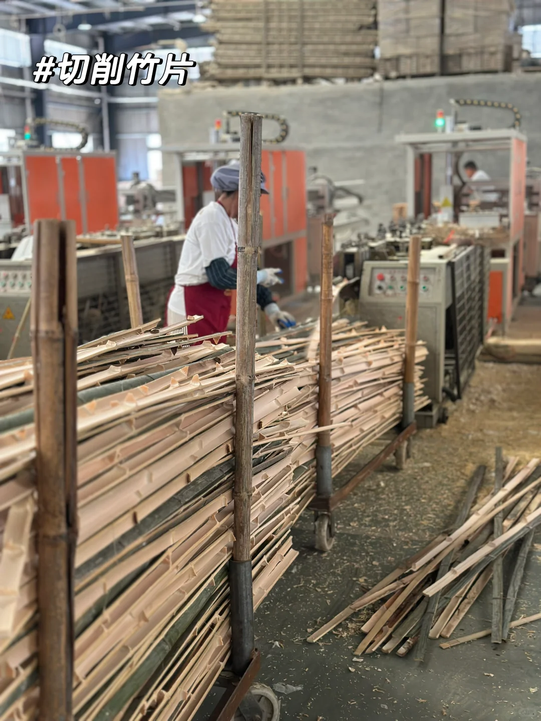 竹子的前世今生