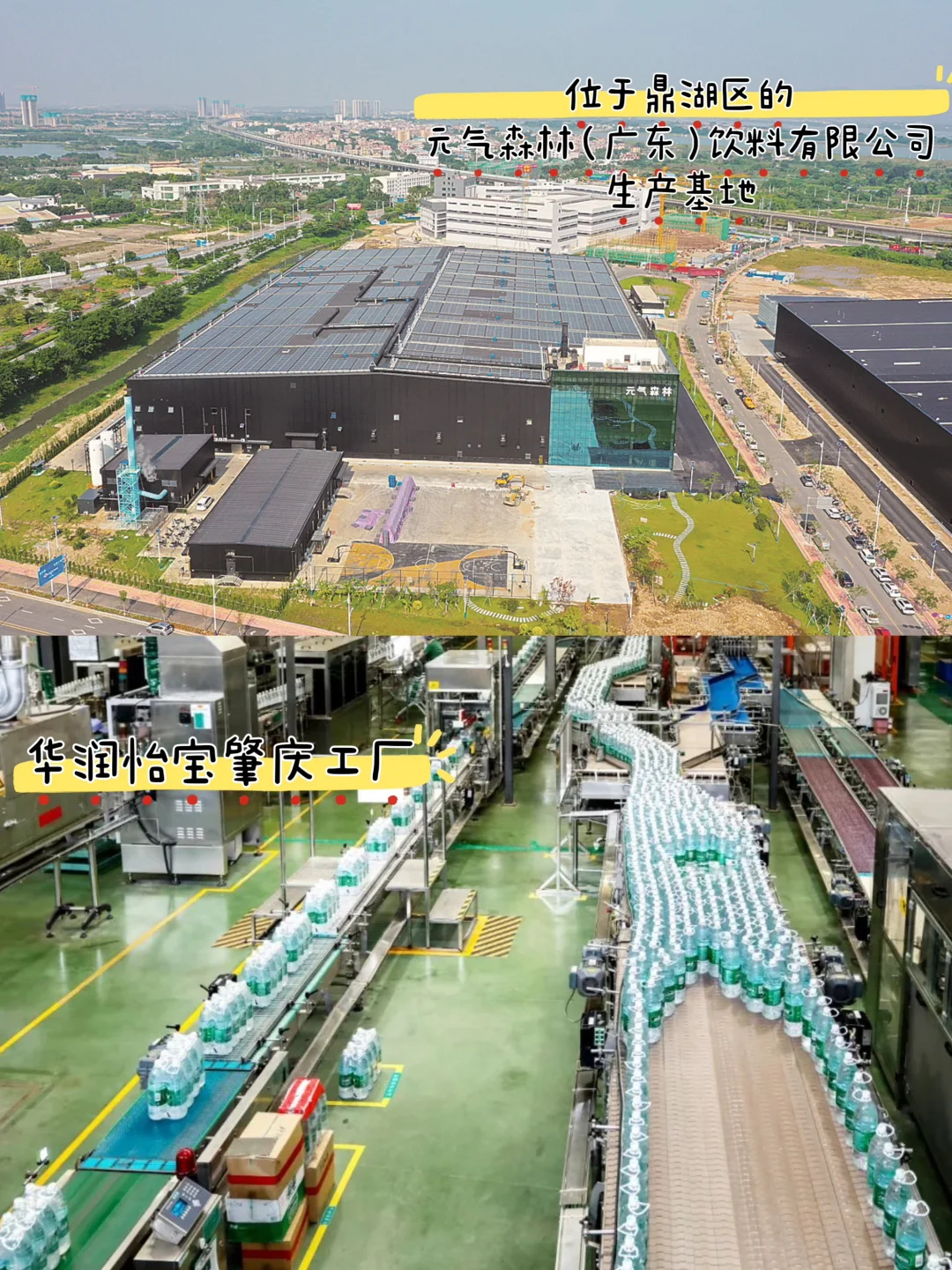 肇庆生产的这些饮料?，你喝过吗?