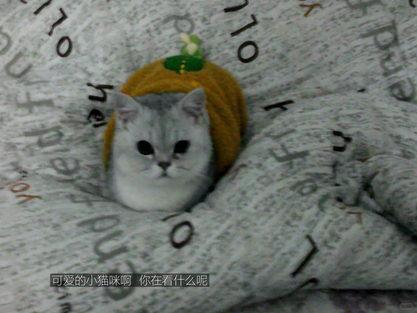 当我买ccd买成了行车记录仪这回事儿?