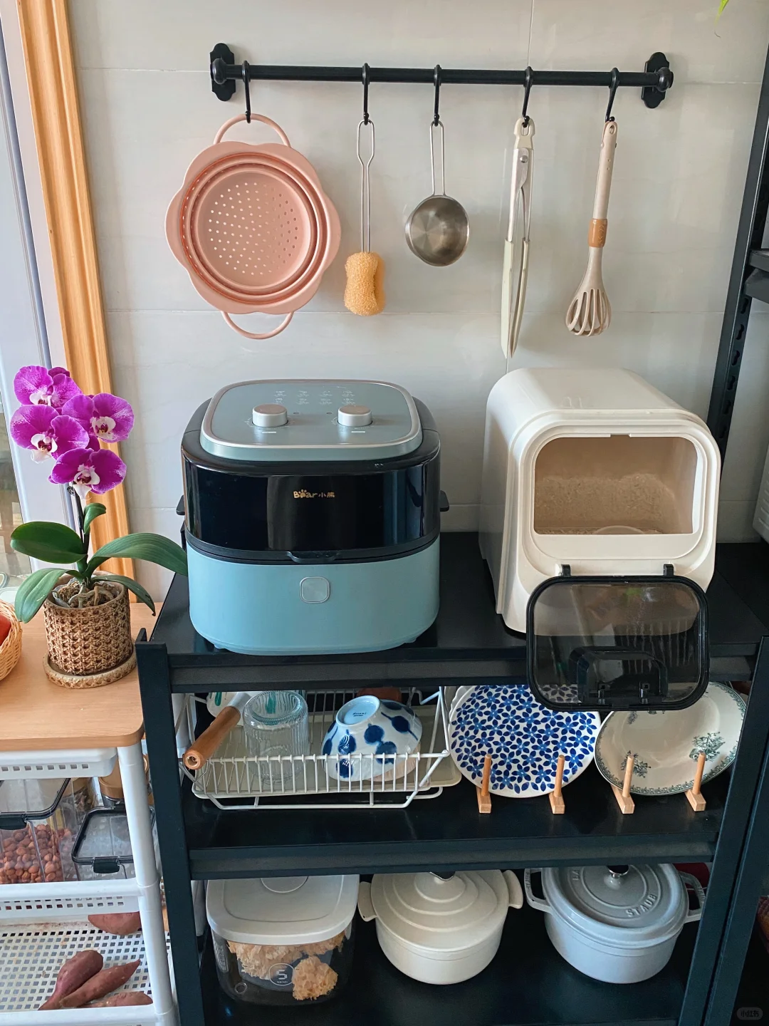 35岁，好喜欢待在我干净整洁的小家啊