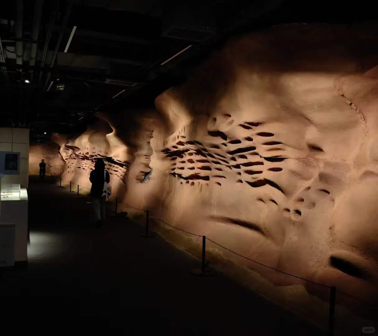 高分子纸浆.生态设计新材