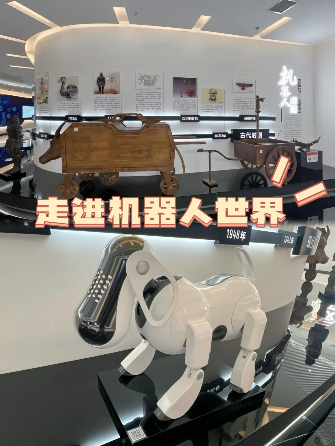 哈尔滨遛娃｜拥有一场科学梦❓看这一篇就够了