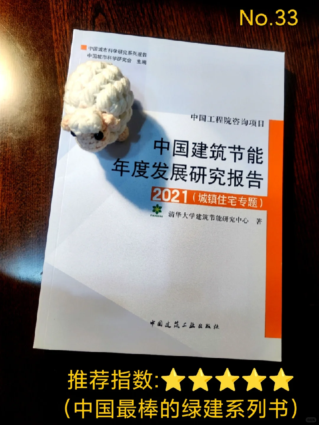 中国建筑节能年度发展研究报告-城镇住宅
