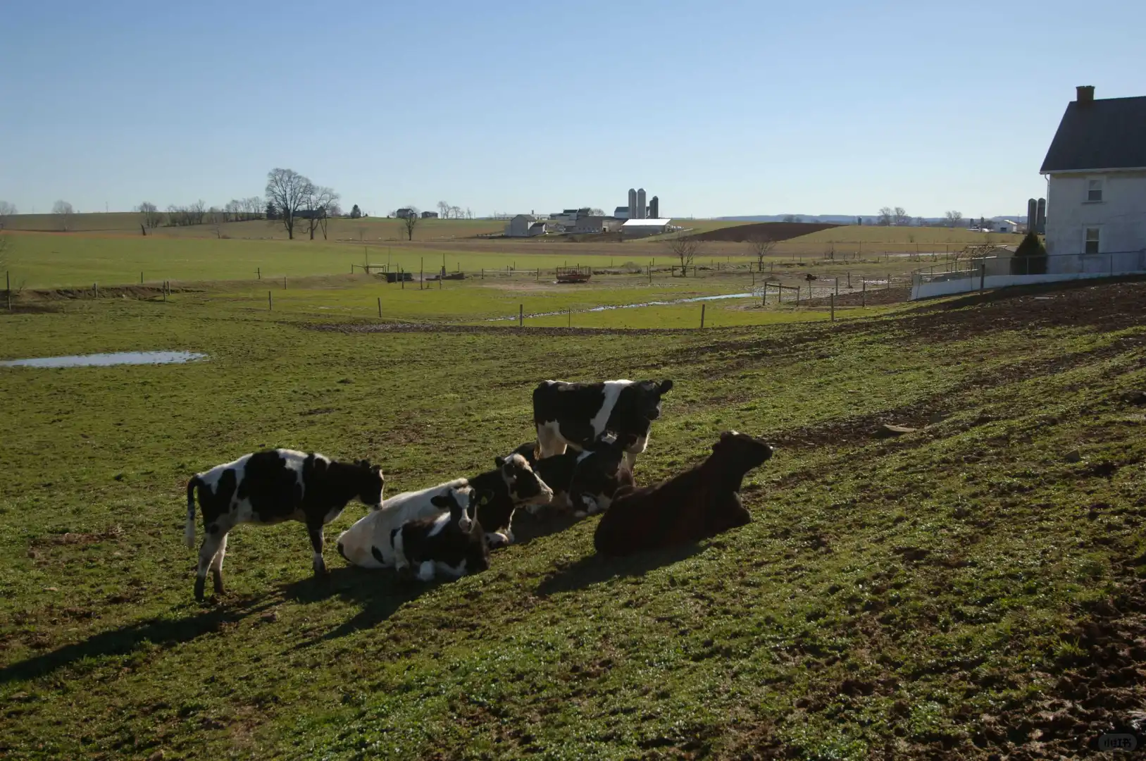 智能电网这一波机会,该怎么把握?