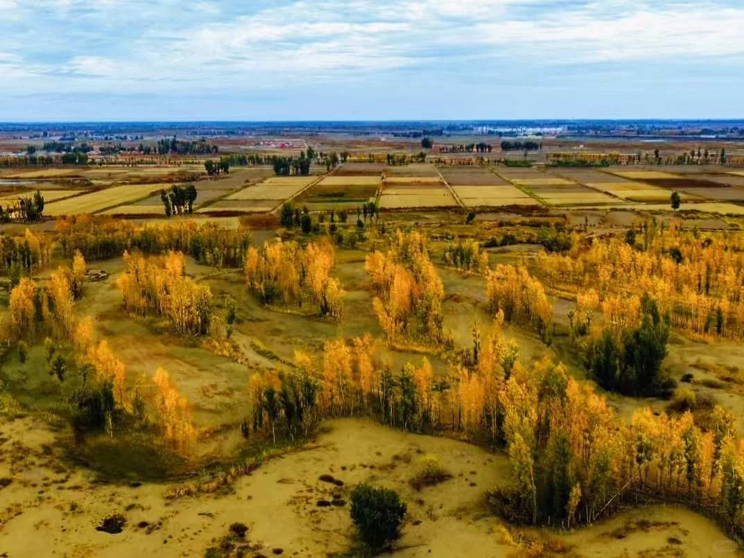 秋天的风,吹来了诗意和远方